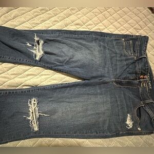 American Eagle Outfitters Dark Blue Distressed Skinny Jeans